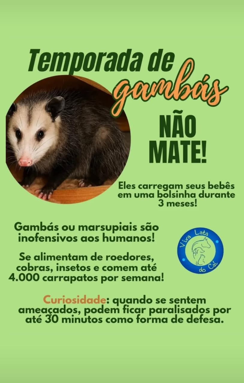 PROTEÇAO TOTAL DA NATUREZA . https://www.facebook.com/groups/ecositemafaunaeflora